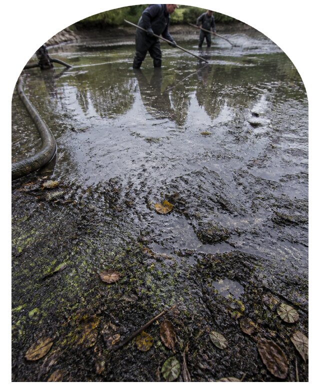 Очистка пруда в Артёме от ила мусора и водорослей с вывозом